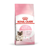 Royal Canin Mother & Baby Cat 10kg